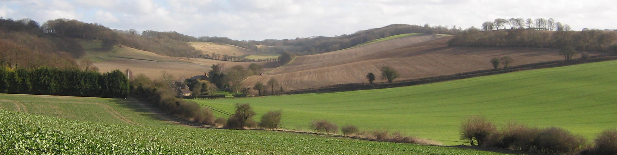 Valley Photograph