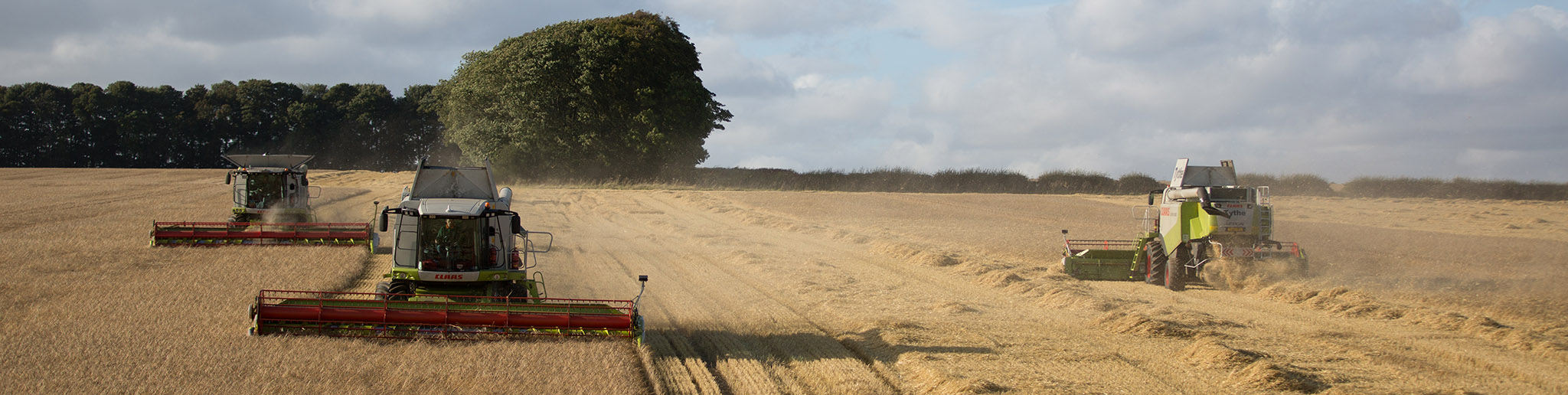  3 Combined Harvesters